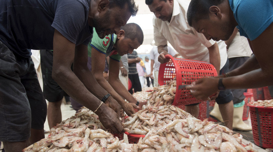 Click to enlarge slaves shrimp