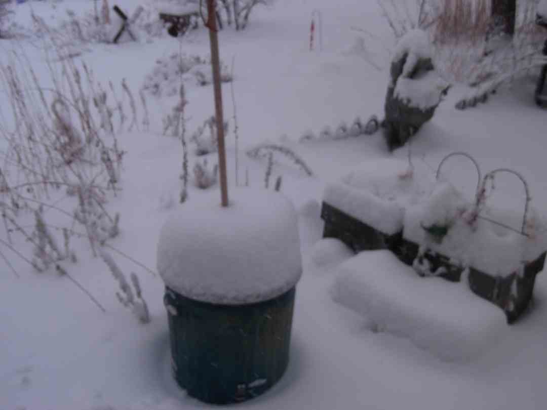 Snow near Loveland