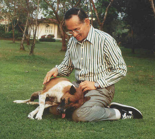 King Bhumibol Adulyadej and Tongdaeng