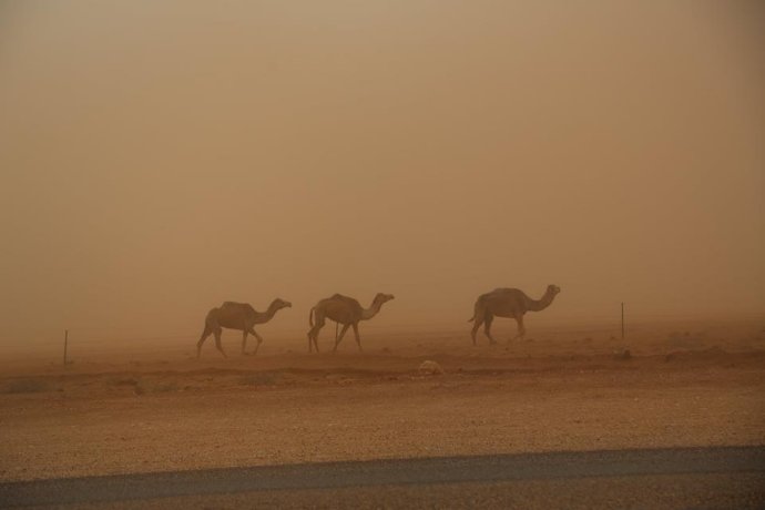Boulia dust storm