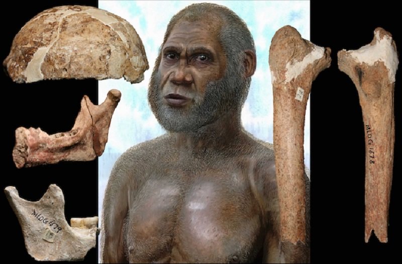 Red Deer Cave man