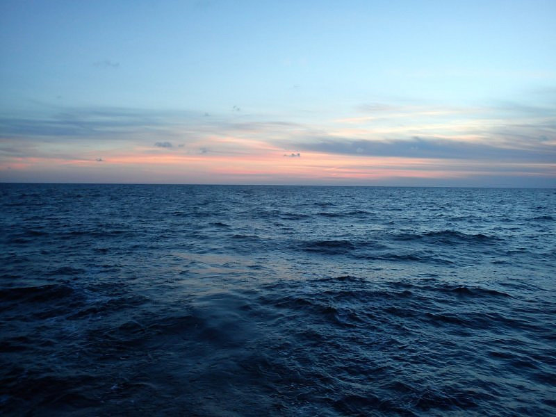 Click to enlarge Pacific ocean garbage patch
