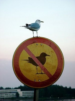 Click to enlarge breaking rules