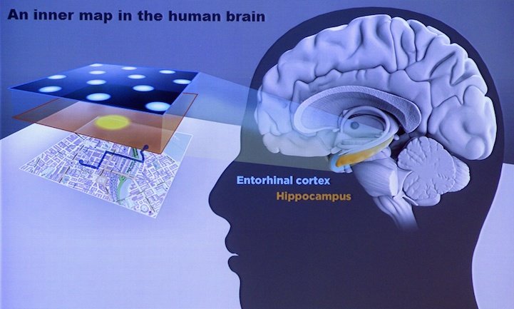brain gps