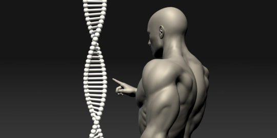 Click to enlarge hypothalamic genes