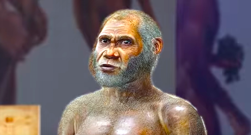 Red Deer Cave people
