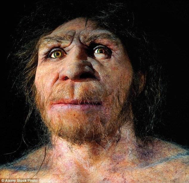Click to enlarge heidelbergensis (artist impression pictured)