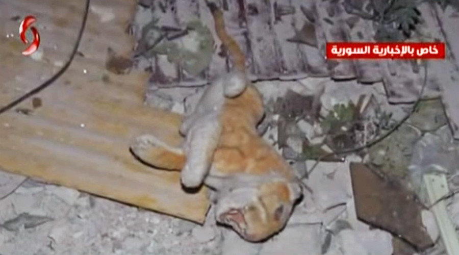 Israeli airstrike in Syria