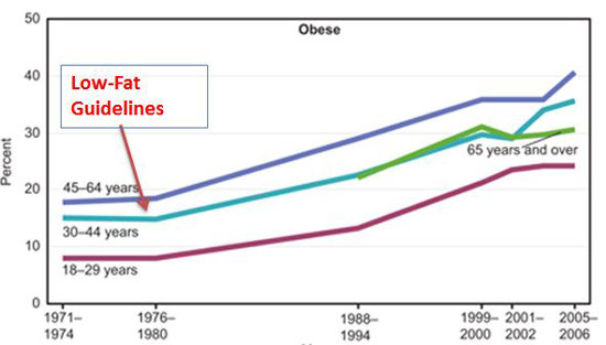 Click to enlarge low fat graph
