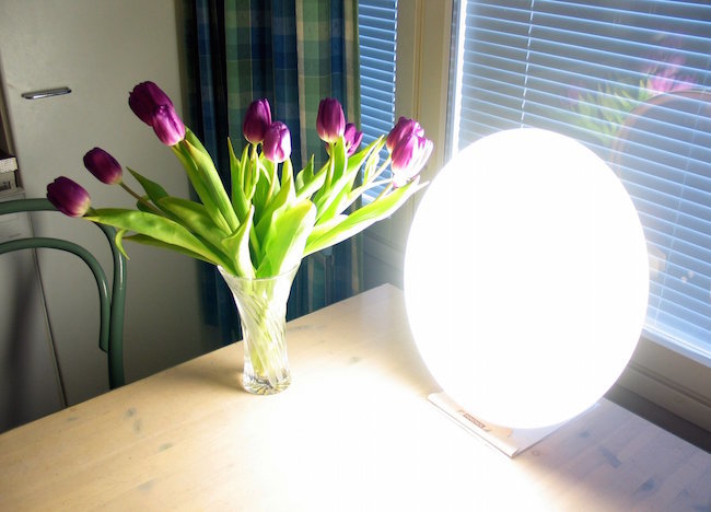 Light 