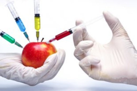 GMO apple