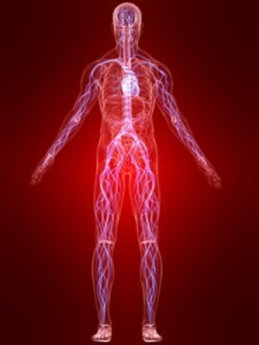 Click to enlarge stress in the body