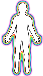 human bioelectric field