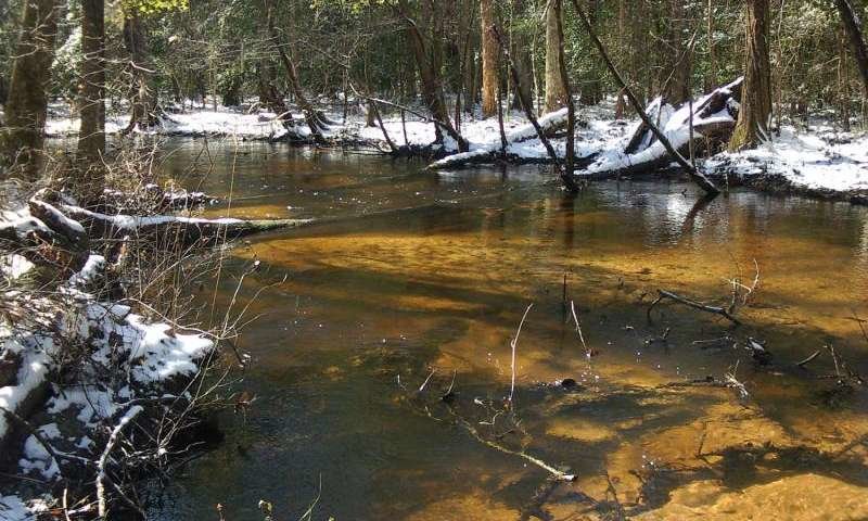Click to enlarge tinker creek, antibiotic resistance