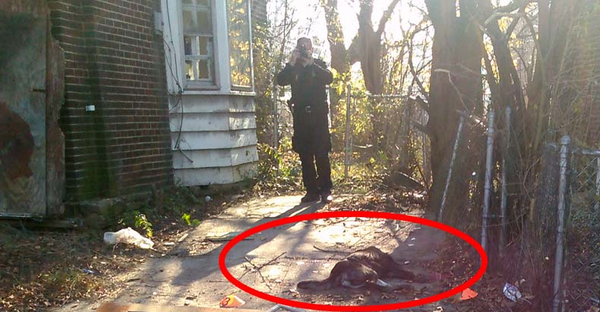 police kill family dog