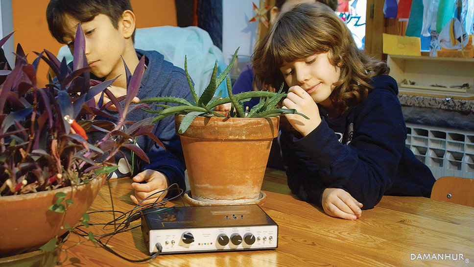 children & plants