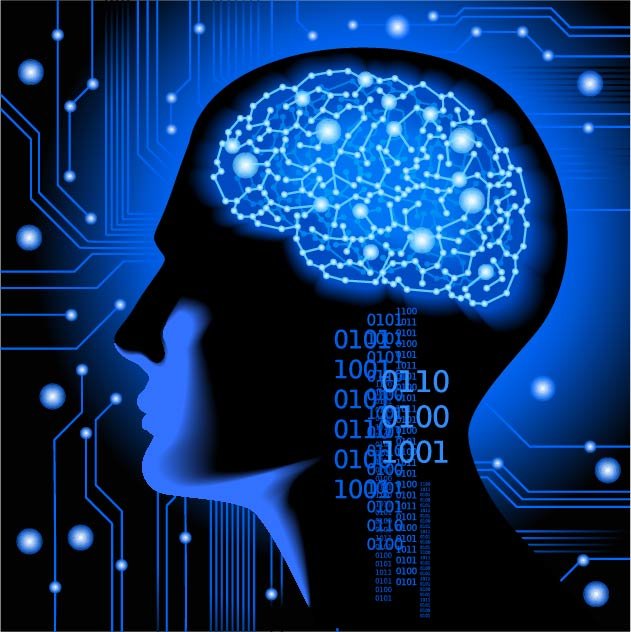brain, memories