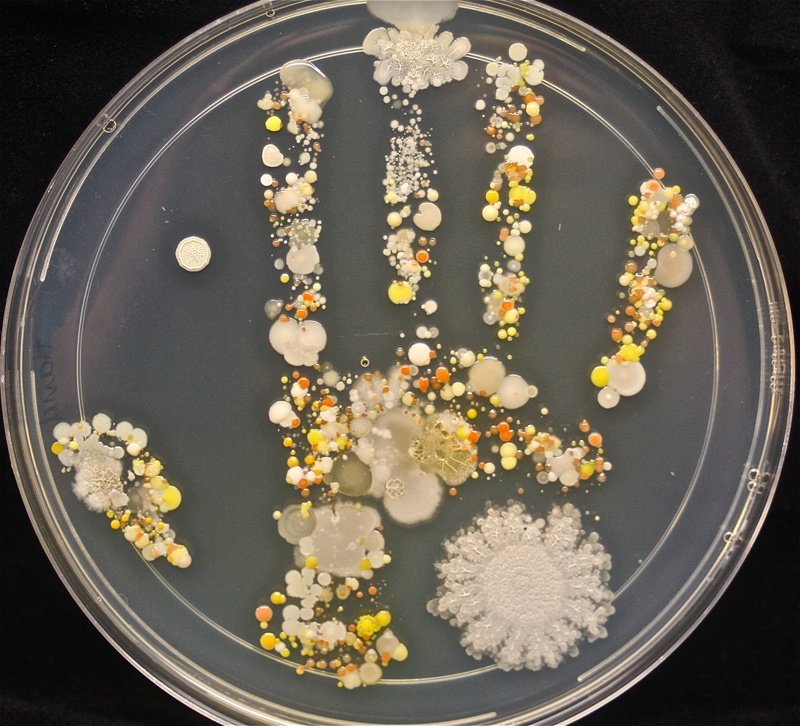 hand print