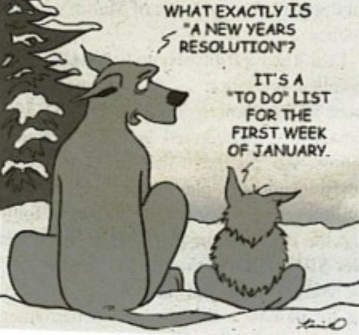 New Years resolution