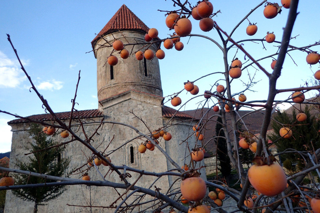 Click to enlarge Persimmons