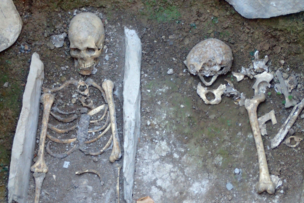 Click to enlarge Skeletons