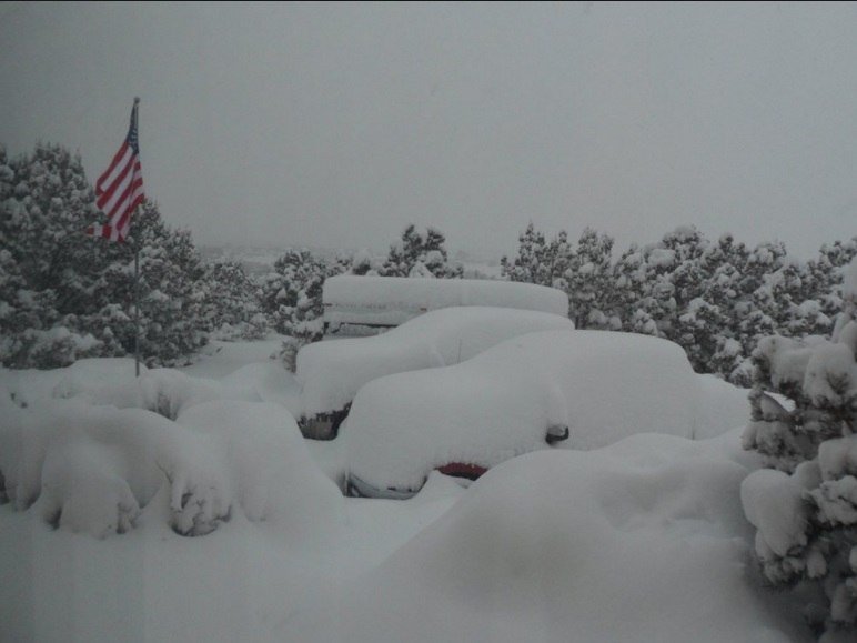 Snow covered cars