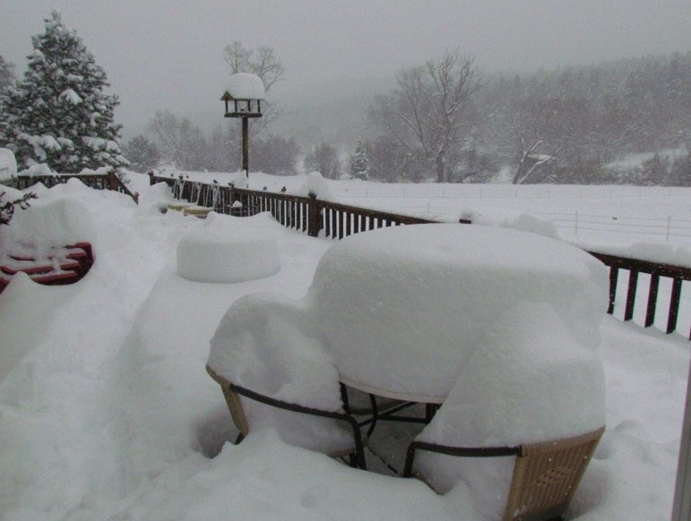 Click to enlarge Snow garden