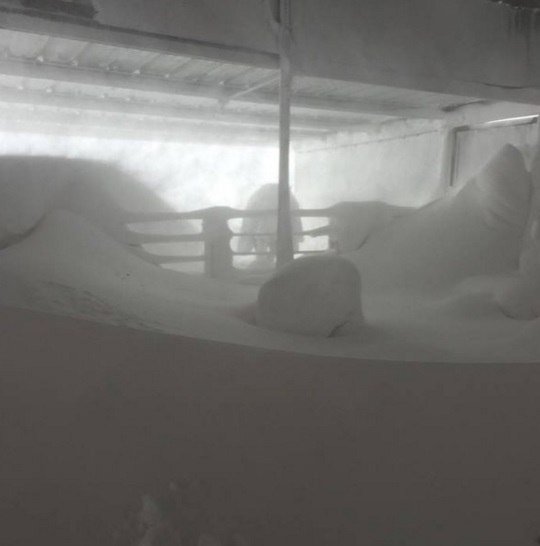 Click to enlarge Snow