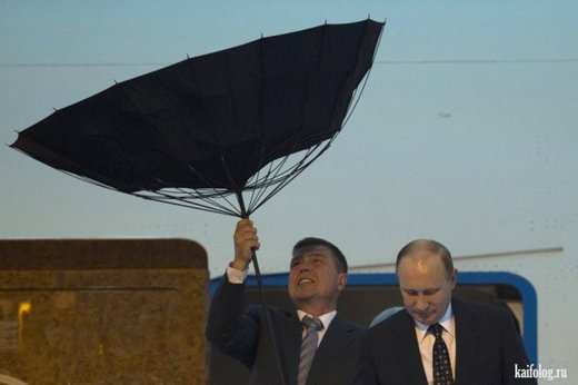 Click to enlarge Putin umbrella
