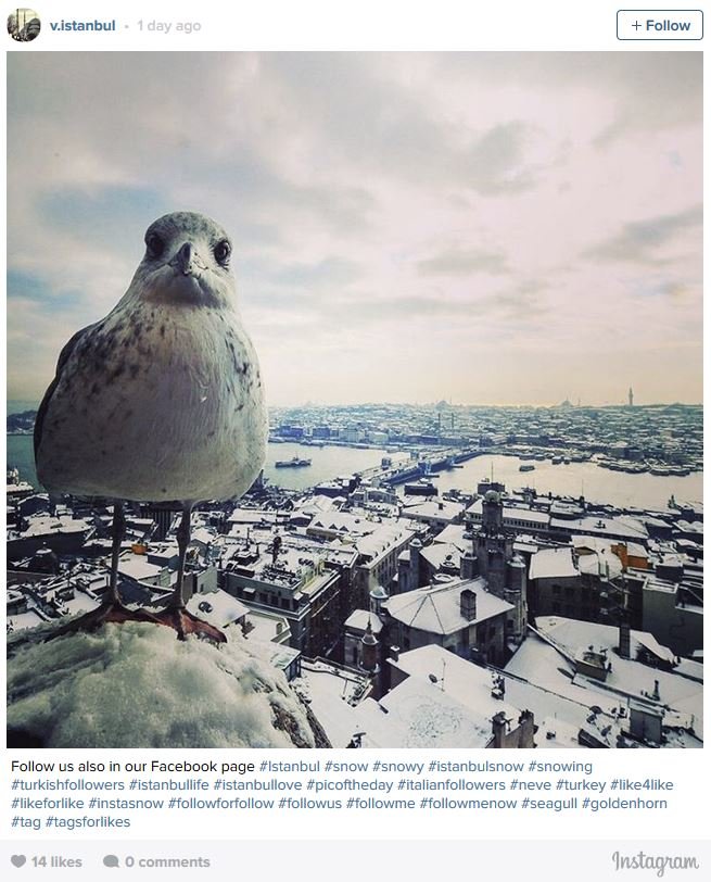 Turkey snow storm