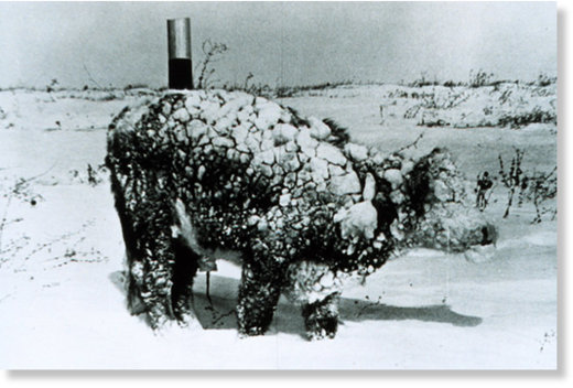 1966 South Dakota Blizzard