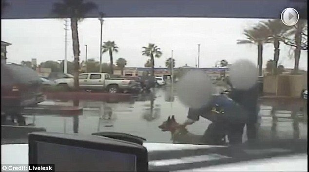 Police dog attack