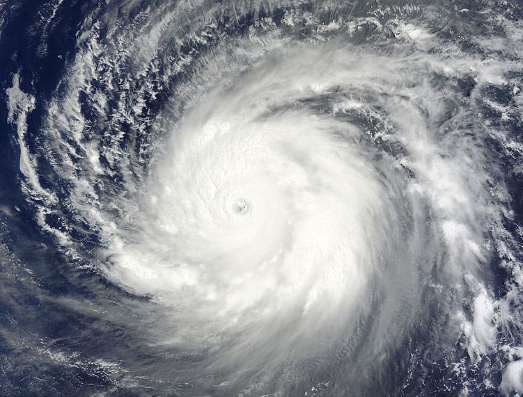 Click to enlarge Super Typhoon Dolphin