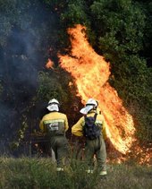 Click to enlarge wildfires spain 2015