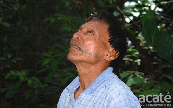 Shaman, Brazil