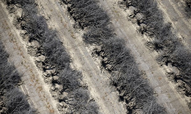 Click to enlarge California drought