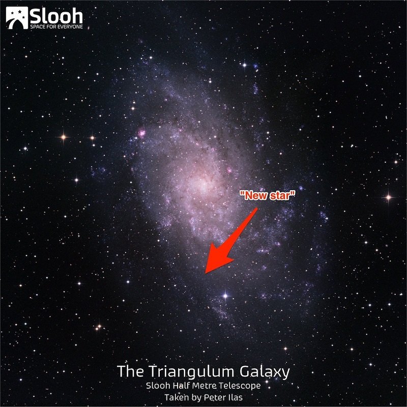 New Star_1