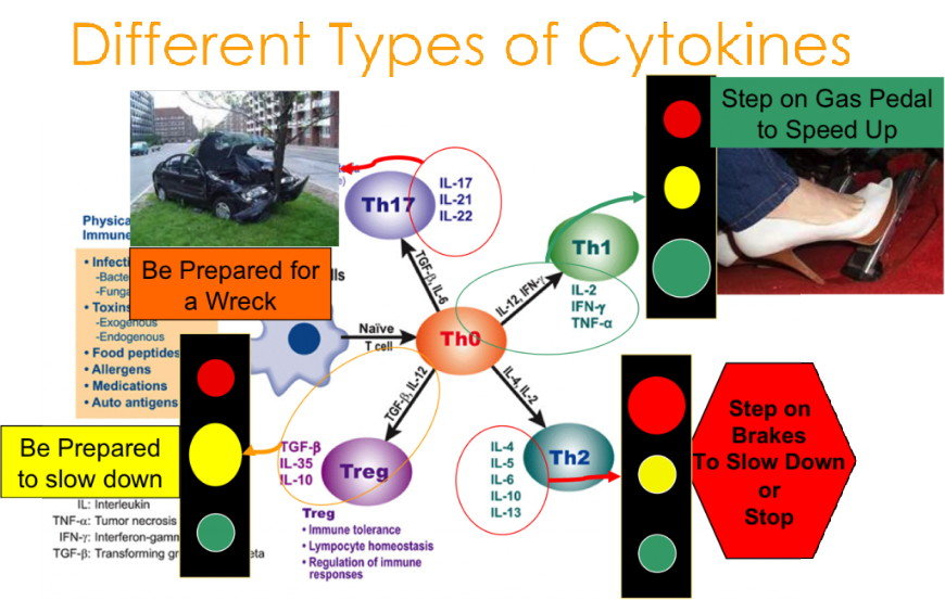 Click to enlarge cytokines