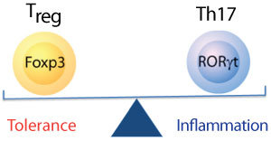 Click to enlarge balance inflammation