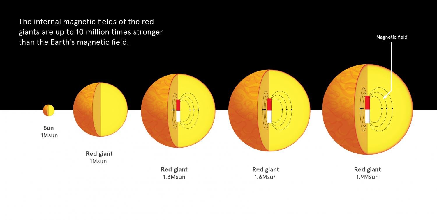 Magnetic Field Around Stars