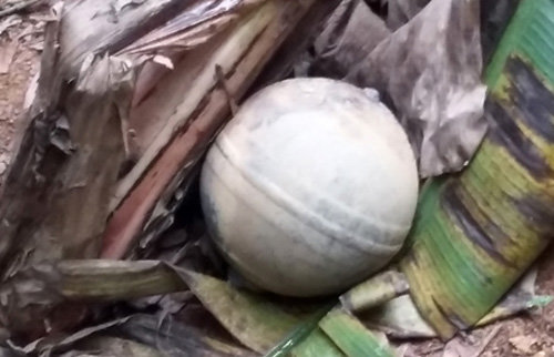 Another sphere was found in a garden in Yen Bai Province 