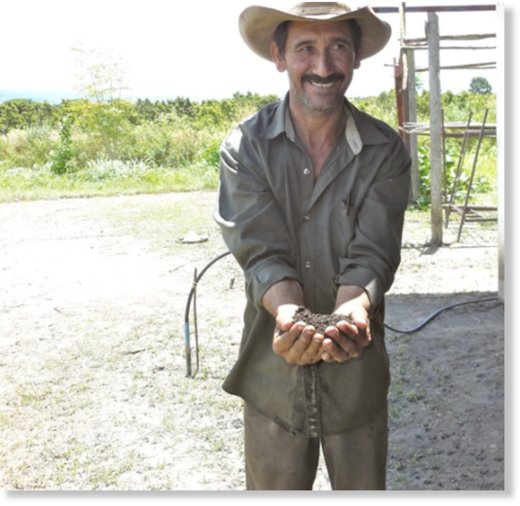 Farmer, Cooperativa Aracal in the State of Yaracuy.