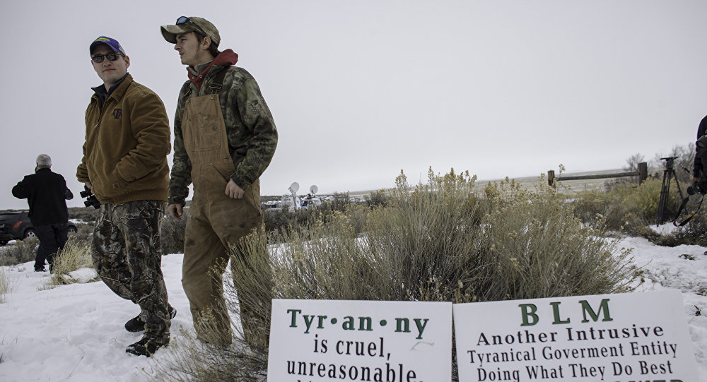 Anti-government militia