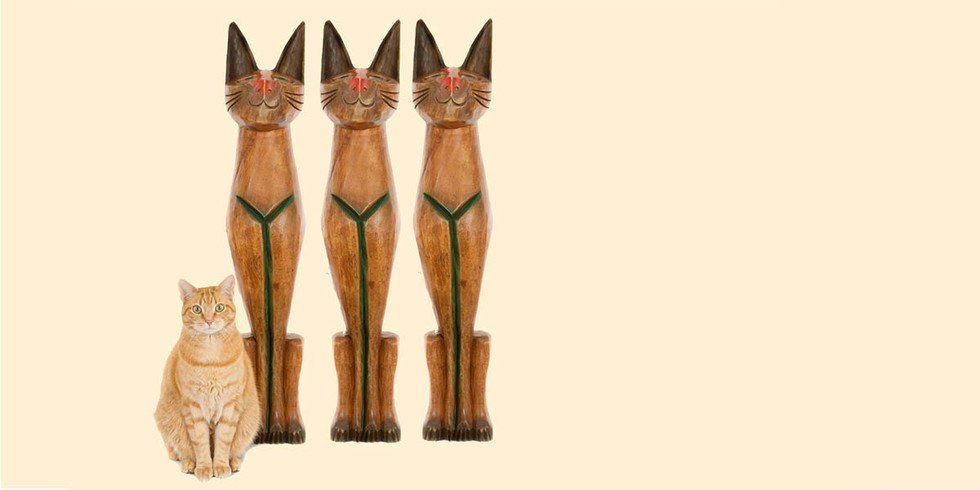 Click to enlarge cats