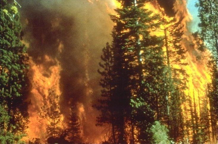 Indonesian wildfires 