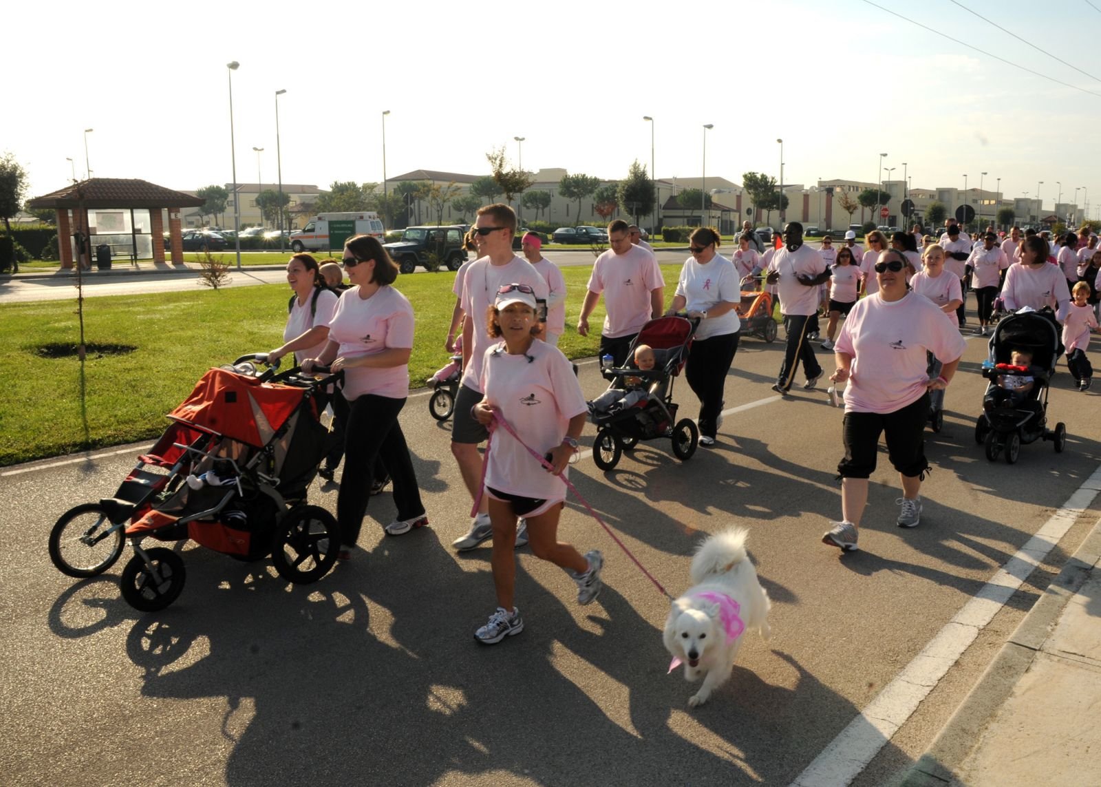 cancer walk