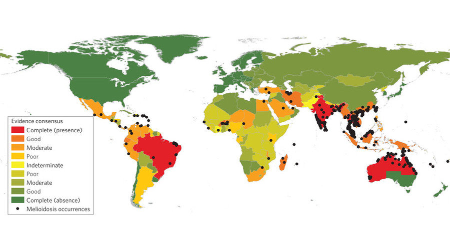 Click to enlarge meliodosis map