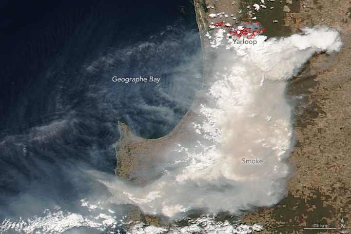Australian wildfires