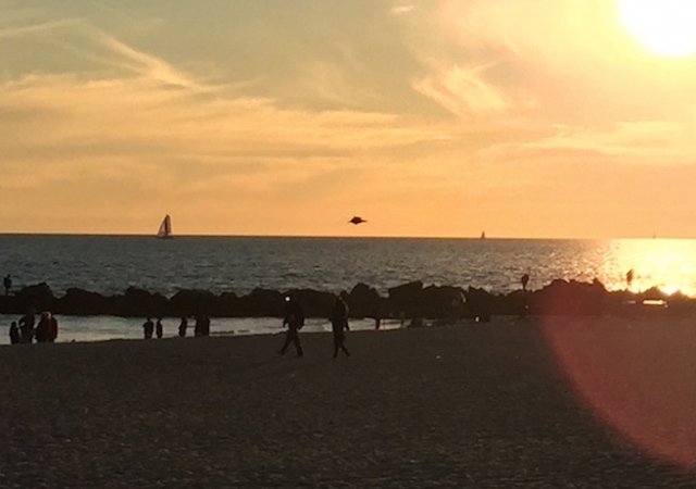 ufo venice beach3