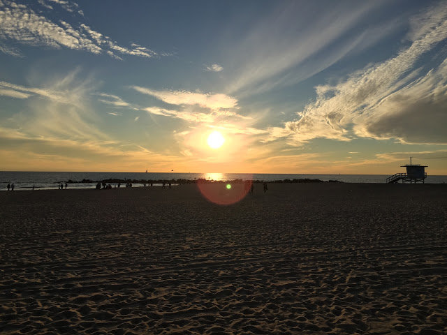 ufo venice beach4